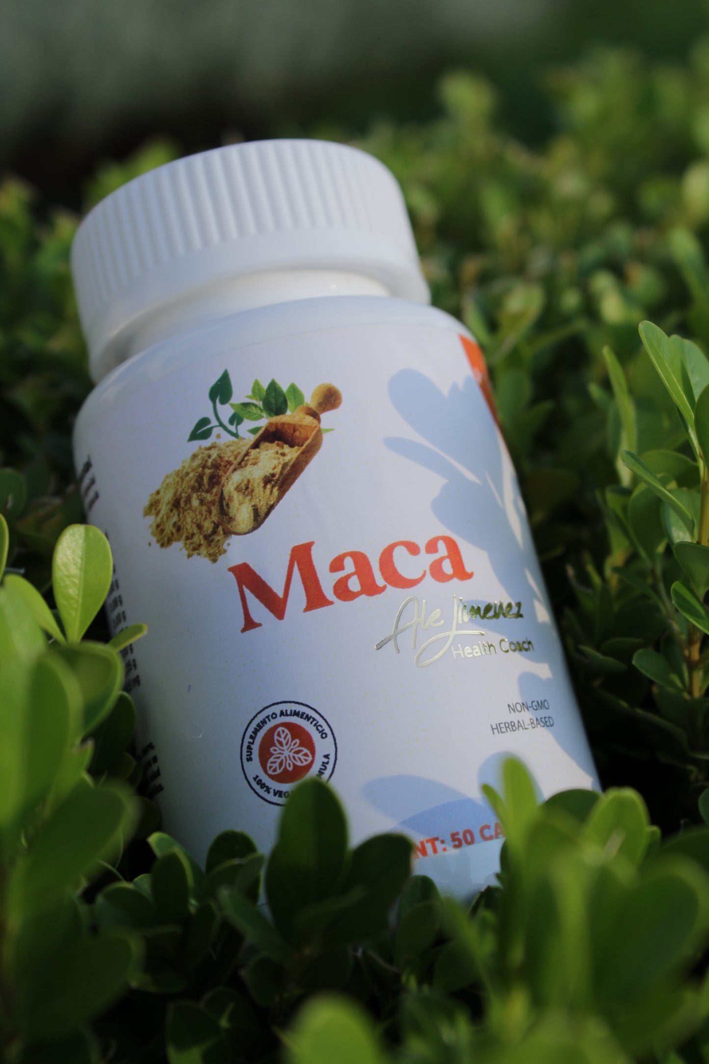 Maca – Energizante Natural, Antioxidante y Rico en Minerales para Equilibrar Cuerpo y Mente